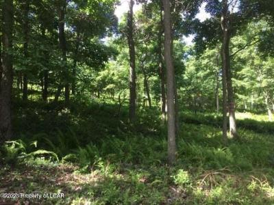 MV Lot 010 Mountain View Drive, Hazle Twp, Pennsylvania 18202, HOA KỲ