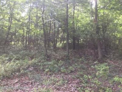 MV Lot 010 Mountain View Drive, Hazle Twp, Pennsylvania 18202, HOA KỲ