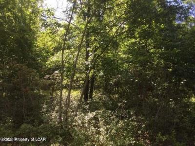 MV Lot 010 Mountain View Drive, Hazle Twp, Pennsylvania 18202, HOA KỲ