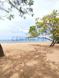 Cumaná, Sucre 00001, Venezuela