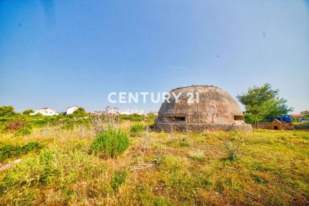 Zadar, Crno, Zadar, Zadarska Županija 23000, Croazia