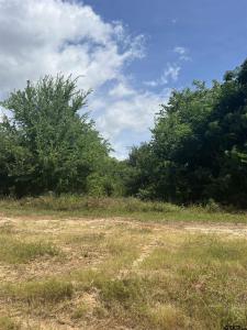 000 SH 64, Ben Wheeler, Texas 75754, USA