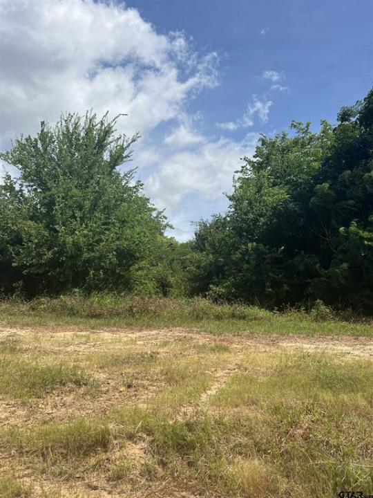 000 SH 64, Ben Wheeler, Texas 75754, Estados Unidos