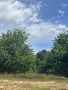 000 SH 64, Ben Wheeler, Texas 75754, Estados Unidos
