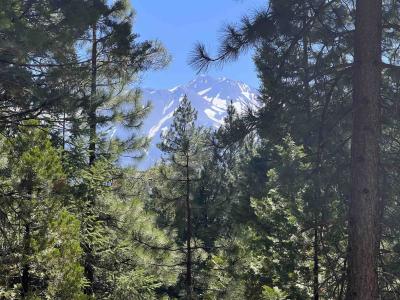 3206 Dale Creek Road, Weed, カリフォルニア 96094, アメリカ合衆国