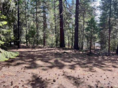 3206 Dale Creek Road, Weed, カリフォルニア 96094, アメリカ合衆国