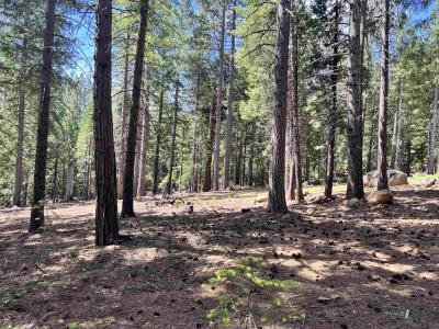 3206 Dale Creek Road, Weed, カリフォルニア 96094, アメリカ合衆国
