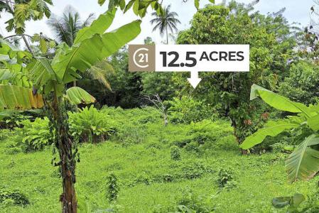 La Digue -12.5 Acres, La Digue, St.Andrew West Indies, Granada