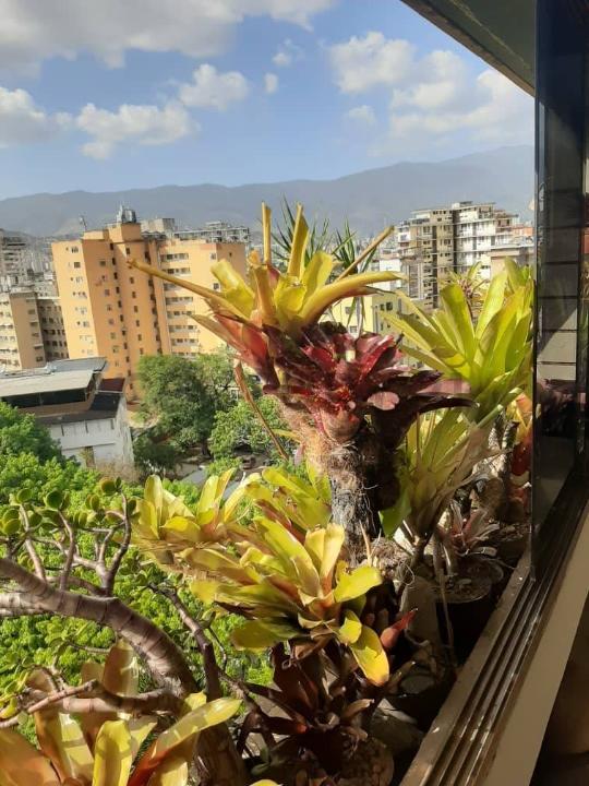 Condominium/CoOp For Sale, AV.TEHERAN DE MONTALBAN RESD. USLAR Caracas Distrito Capital 00001