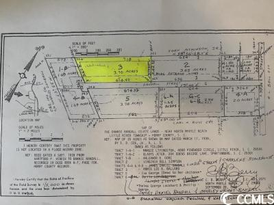 TBD Pecan St., Little River, サウスカロライナ 29566, アメリカ合衆国