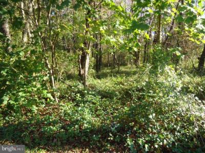 752 Yorketown Rd, Pilesgrove, NJ 08098, USA