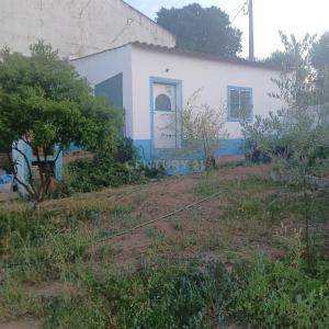 Alter do Chão, Portalegre 7440-225, Portugal
