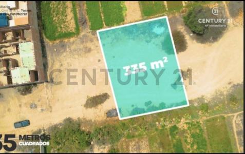 Pago Silpay 08, Tacna, Tacna 00001, Peru