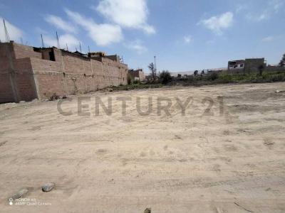 Pago Silpay 08, Tacna, Tacna 00001, Peru