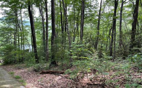 Lots Fortenberry Creek Road, Blairsville, Geórgia 30512, Estados Unidos