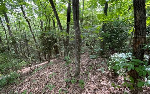 Lots Fortenberry Creek Road, Blairsville, Geórgia 30512, Estados Unidos