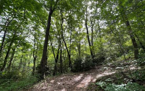 Lots Fortenberry Creek Road, Blairsville, Geórgia 30512, Estados Unidos