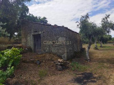 布朗库堡区, 布朗库堡区 6005-232, 葡萄牙