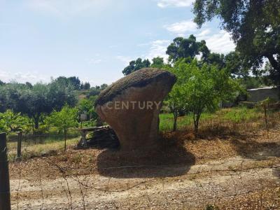 布朗库堡区, 布朗库堡区 6005-232, 葡萄牙