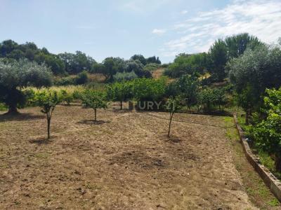 布朗库堡区, 布朗库堡区 6005-232, 葡萄牙