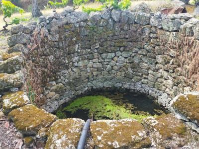 布朗库堡区, 布朗库堡区 6005-232, 葡萄牙