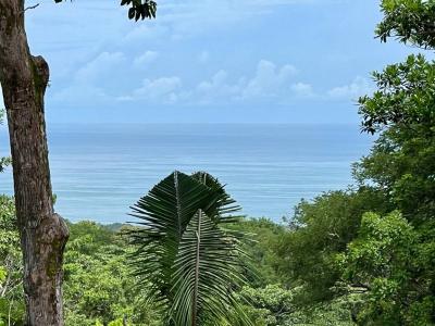 Quepos Quepos, Puntarenas 00001, Kostaryka