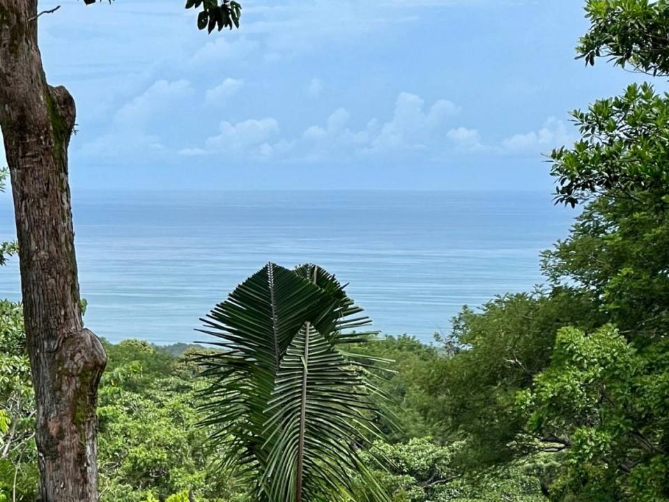 Quepos Quepos, פונטרנס 00001, קוסטה ריקה