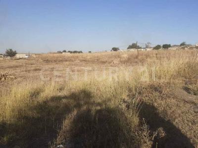 Potrero el Zalate S/N,, Tlaquepaque, Jalisco 45620, Mexico