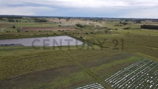 Minas, Lavalleja 30000, Uruguay