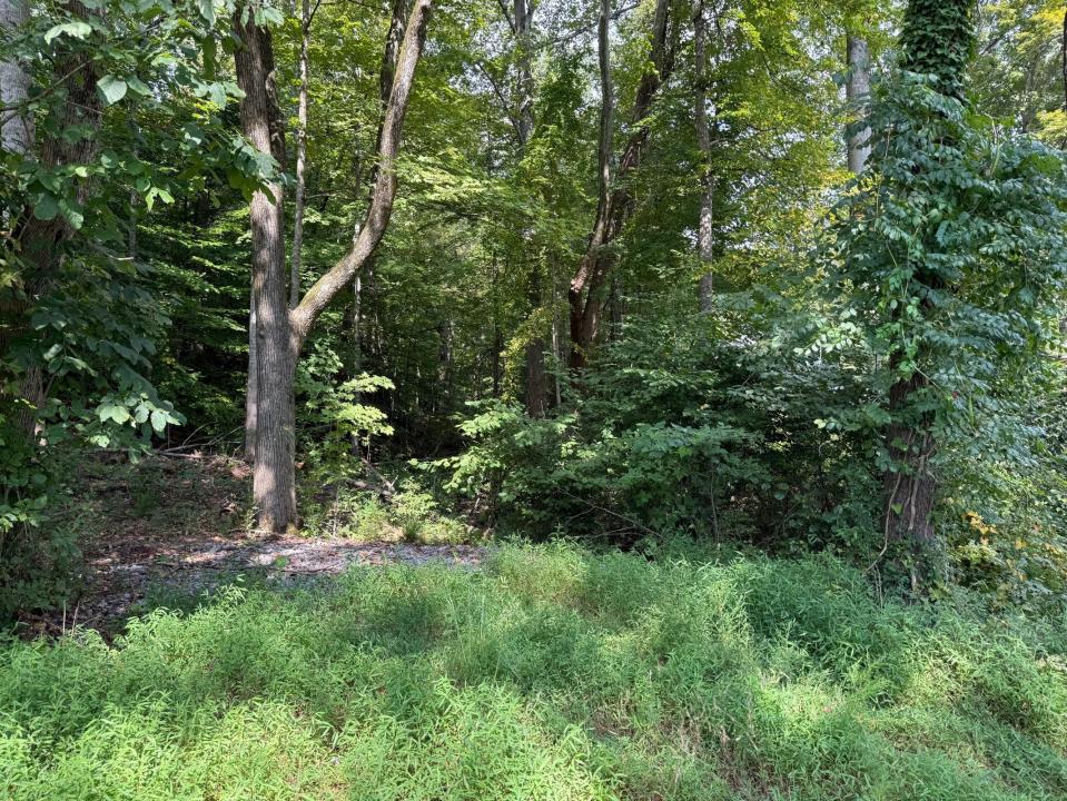 64 Riddle St, Dayton, Tennessee 37321, Stati Uniti