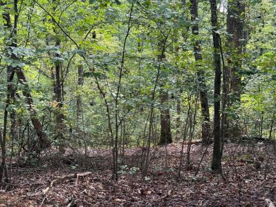 64 Riddle St, Dayton, Tennessee 37321, Stati Uniti