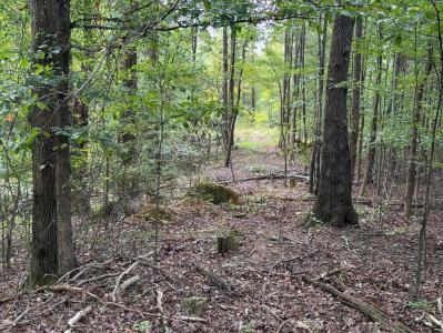 64 Riddle St, Dayton, Tennessee 37321, Stati Uniti