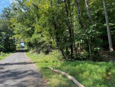 64 Riddle St, Dayton, Tennessee 37321, Stati Uniti