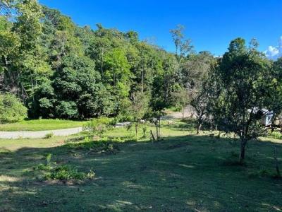 Punta Uva Puerto Viejo Talamanca, Limón 70403, Коста-Рика