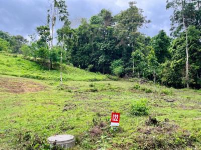 Punta Uva Puerto Viejo Talamanca, Limón 70403, Коста-Рика