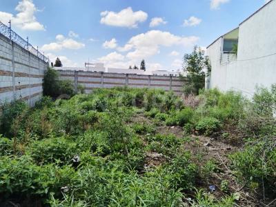 San Pedro Cholula, 普埃布拉 72760, 墨西哥