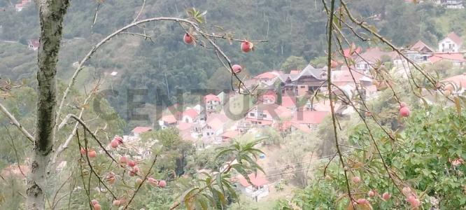 La Colonia Tovar, Aragua 1030, ונצואלה