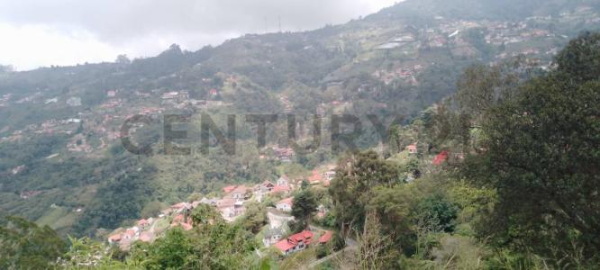 La Colonia Tovar, Aragua 1030, ונצואלה