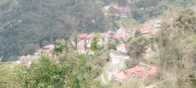 La Colonia Tovar, Aragua 1030, ונצואלה