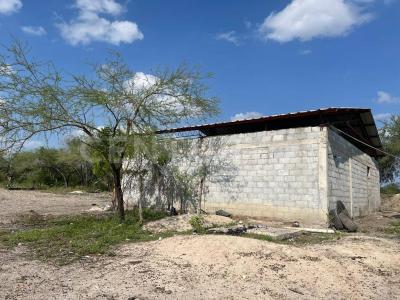 González, Tamaulipas 89712, Mexico