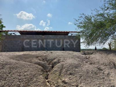 González, Tamaulipas 89712, Mexico