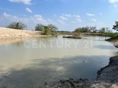 González, Tamaulipas 89712, Mexico