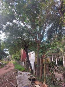 Walter Zaracho y Bogota , Ñemby, Central 00001, Paraguay