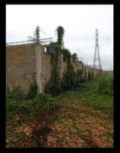 Tibana terreno, Chichiriviche, Falcón 2060, Venezuela