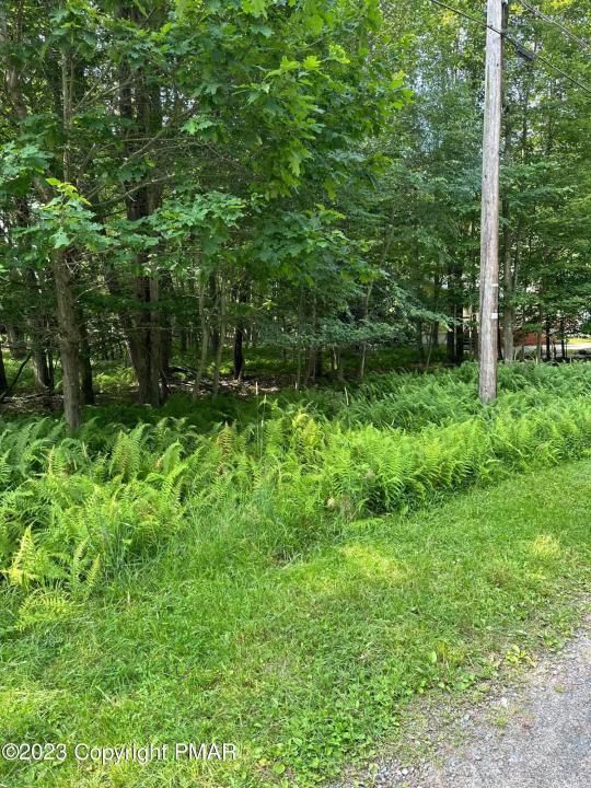 4 CANOE Trail, Pocono Lake, Pennsylvanie 18347, États-Unis