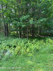 4 CANOE Trail, Pocono Lake, Pennsylvanie 18347, États-Unis