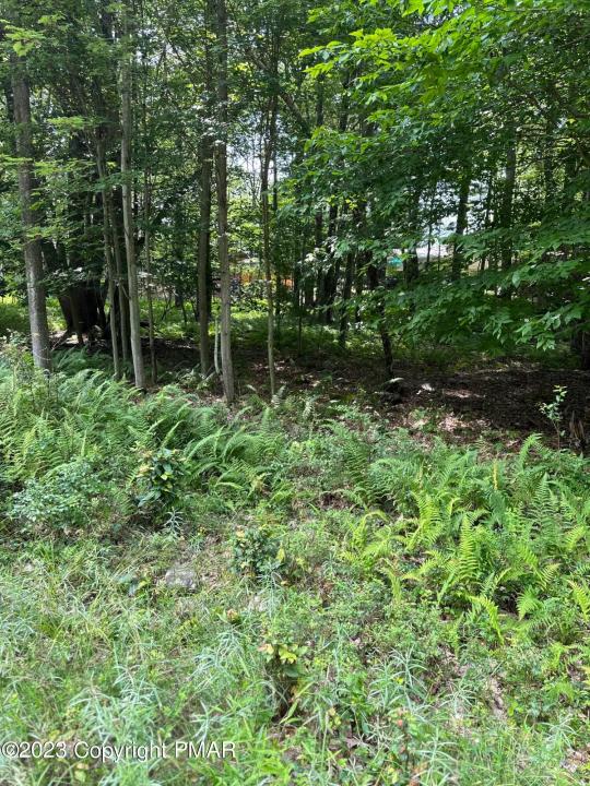 5 CANOE Trail, Pocono Lake, Pennsylvania 18347, Amerika Birleşik Devletleri