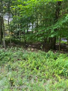 5 CANOE Trail, Pocono Lake, Pennsylvania 18347, Amerika Birleşik Devletleri