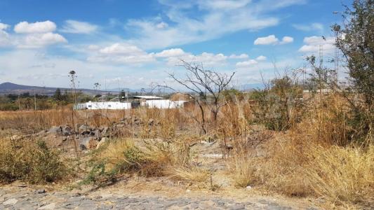 Justino Orona 39, Lote 12 Manzana 8,, Zapotlanejo, Jalisco 45438, Mexico