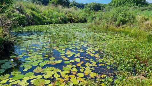 1808 Dunoon Road, Dunoon, NSW 2480, Australia